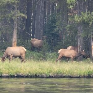 Meet your Posher, Sandy
